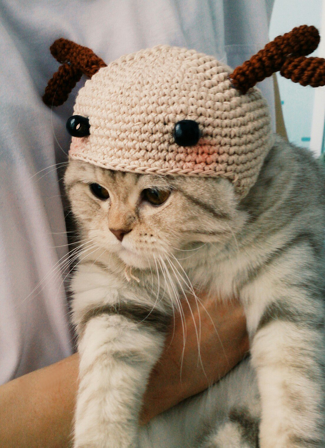 вязаная шапочка для кота